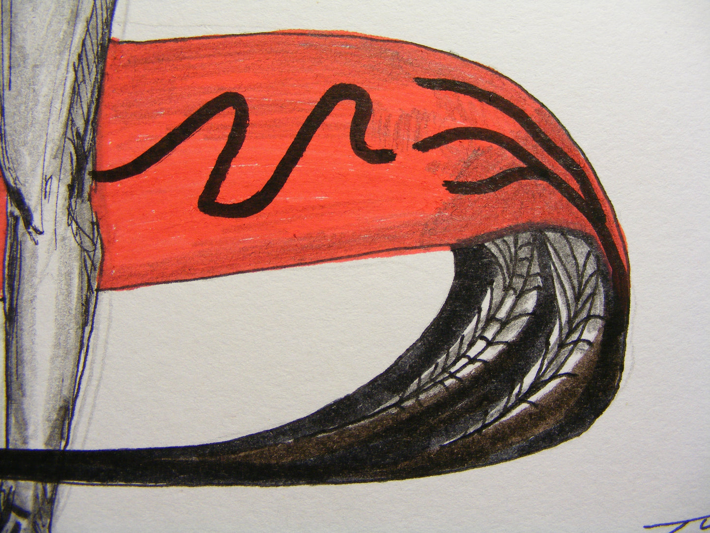 Anatomía 1