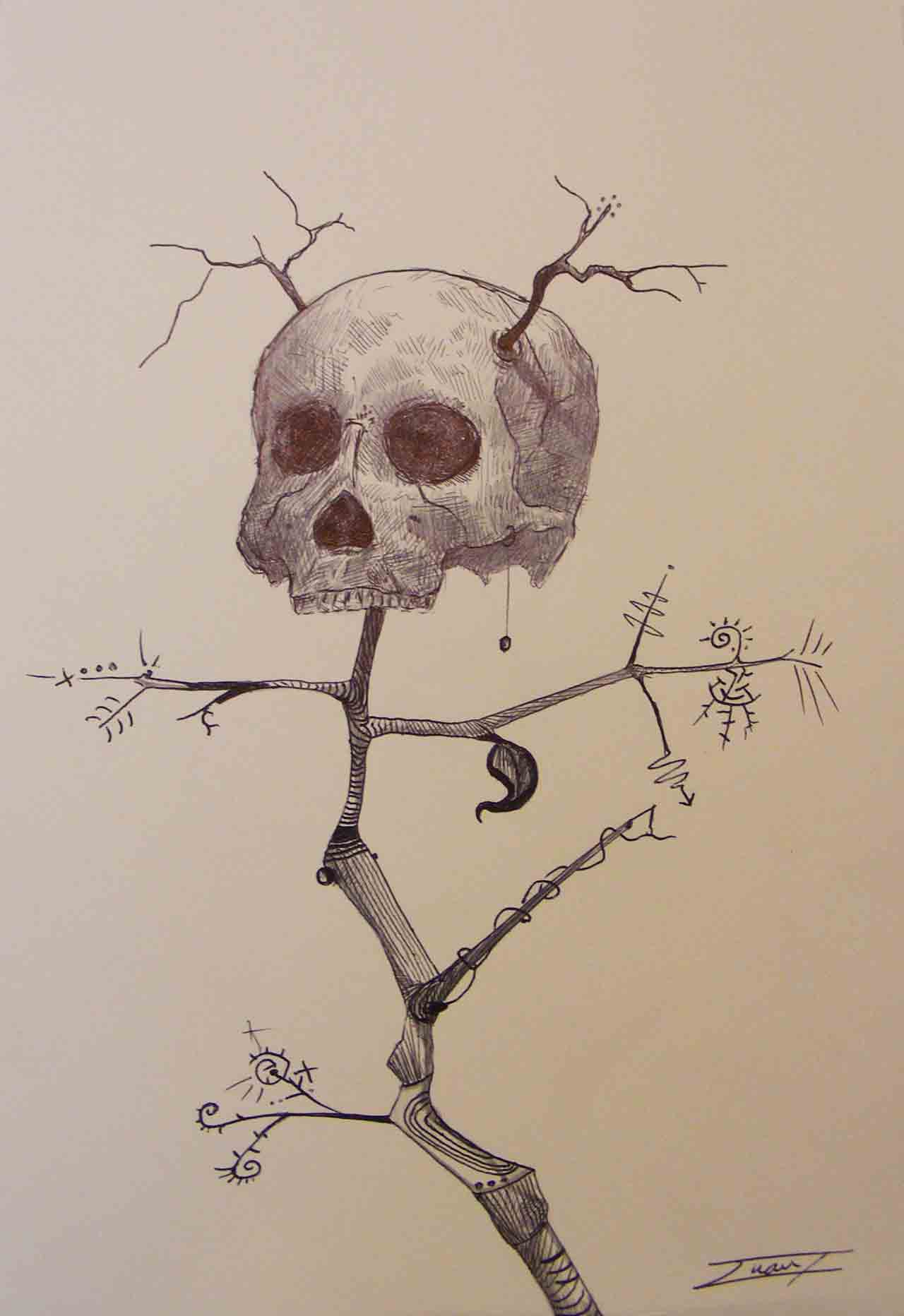 Skull.