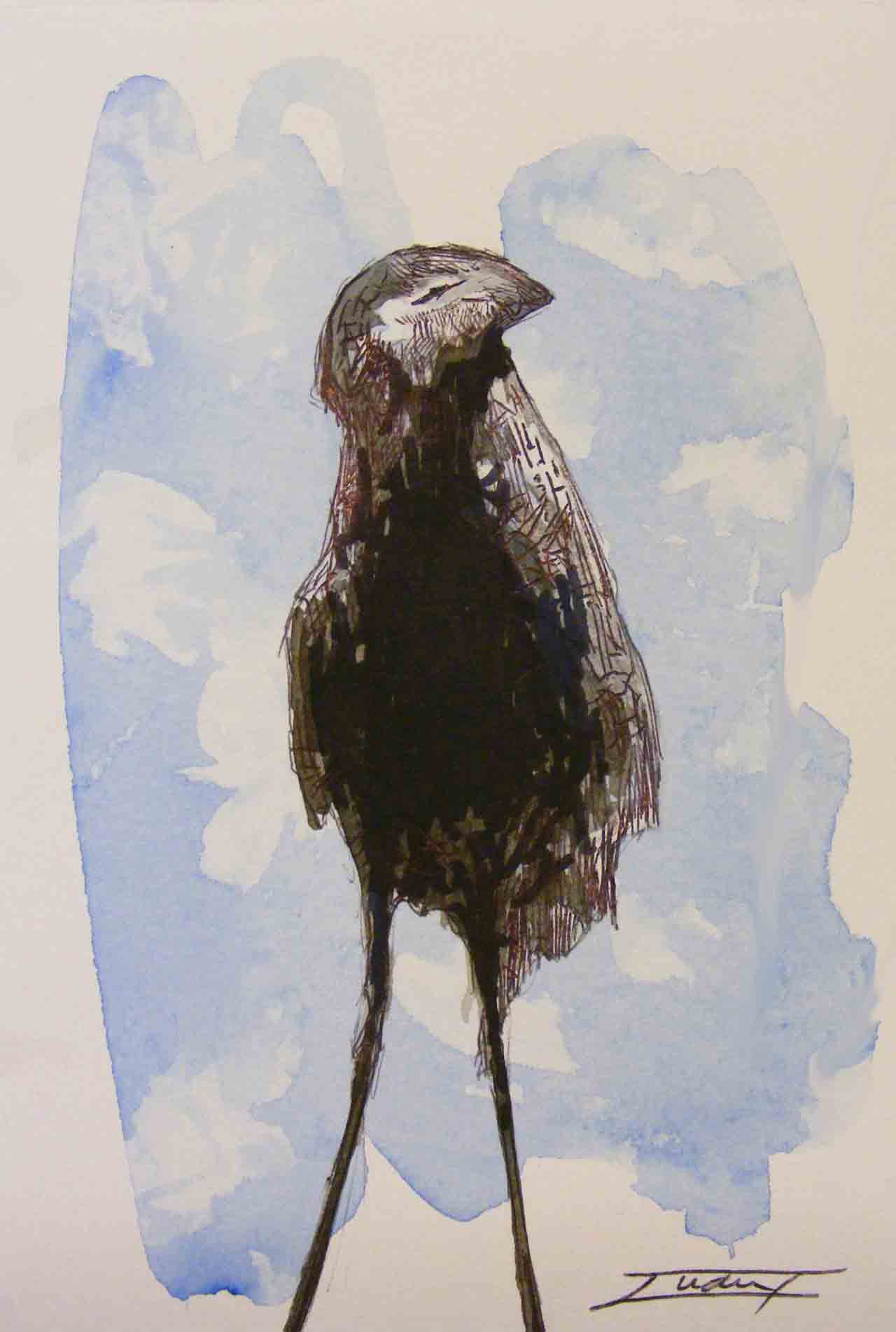 Birds 5.2