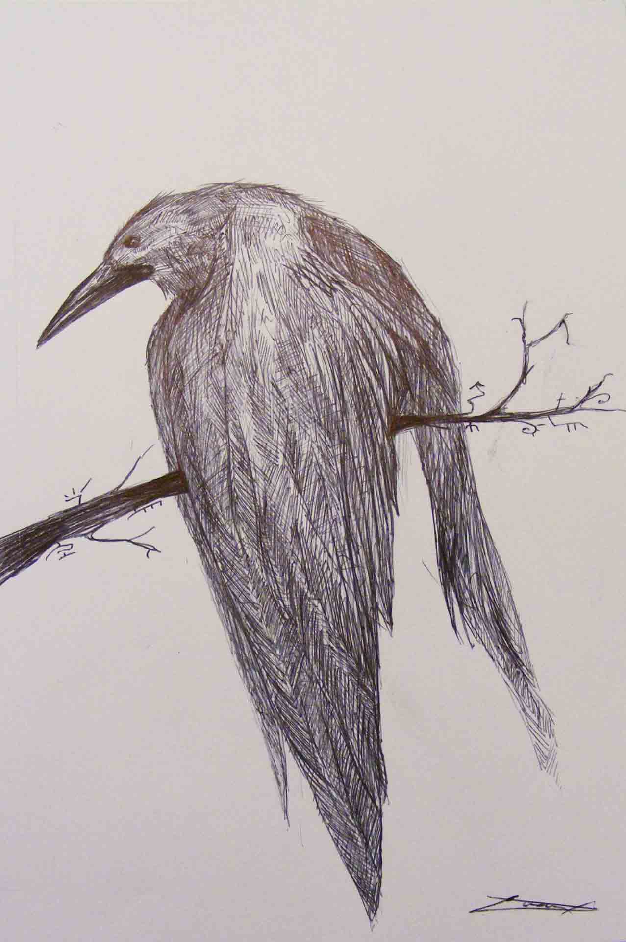 Crow