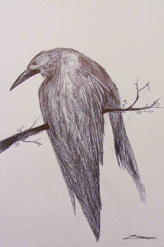 Crow