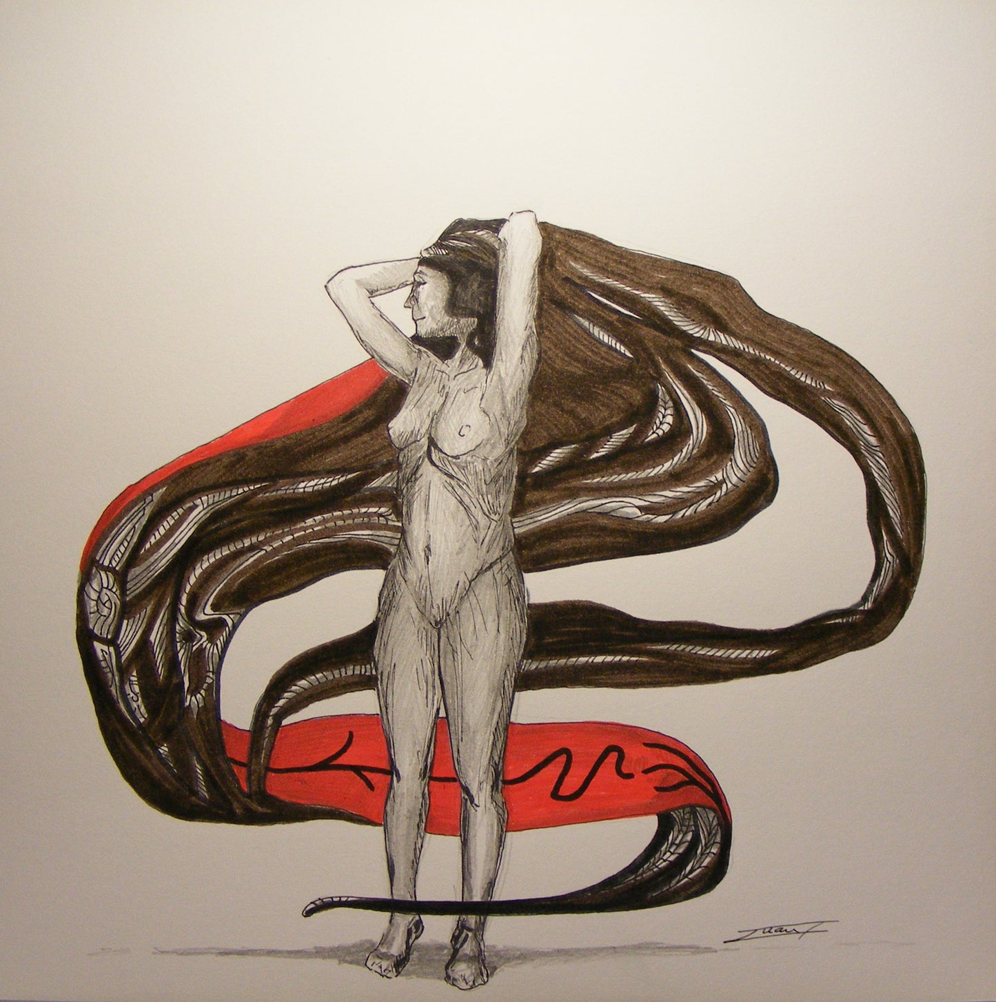 Anatomía 1