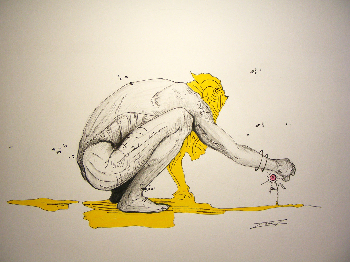 Anatomía 2