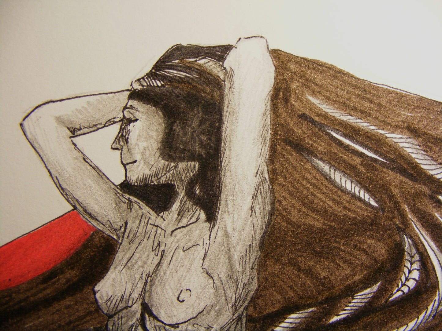 Anatomía 1