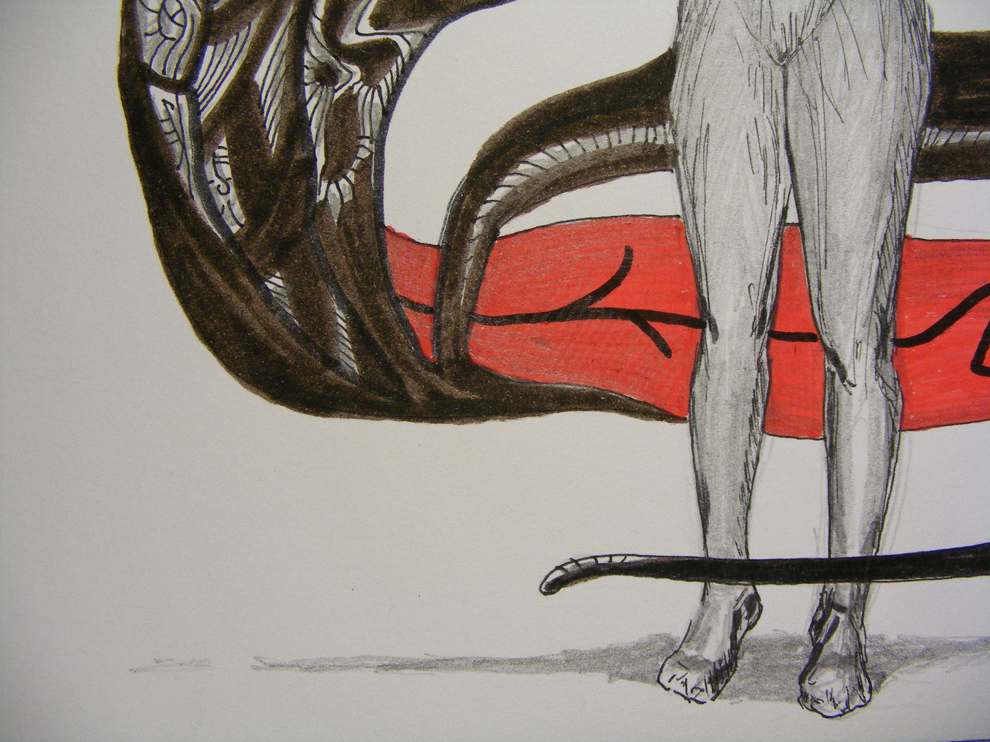 Anatomía 1